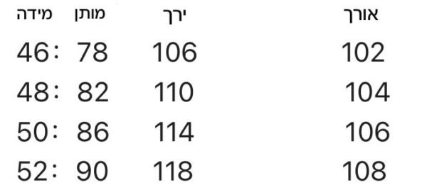⁦מכנסיים של פראדה⁩ – תמונה ⁦10⁩