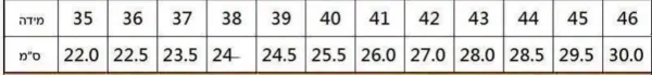 ⁦נעליים של ניו באלאנס 2002⁩ – תמונה ⁦7⁩