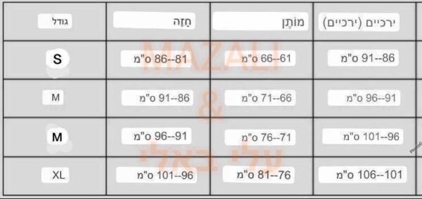 ⁦בגד ים שלם פראדה⁩ – תמונה ⁦8⁩
