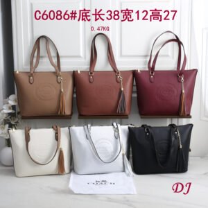 תיק של קואץ׳