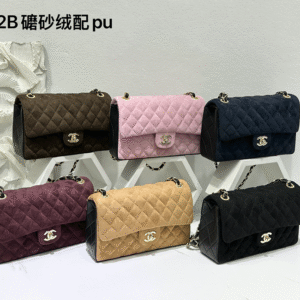 תיק של שנאל