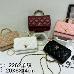 תיק של שנאל