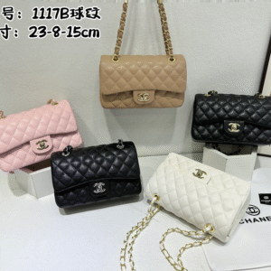 תיק של שנאל